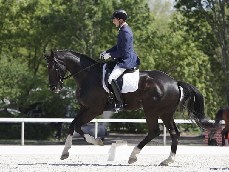 Dressage scene